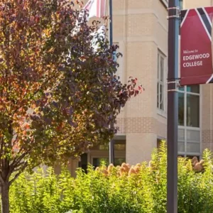 埃奇伍德大學：企業管理博士課程的深度剖析